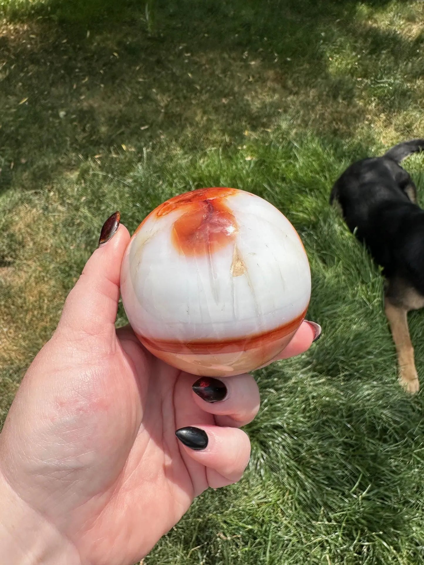 Carnelian sphere Vibrant red and Orange 3.12 inches #3 Oakriver Crystals