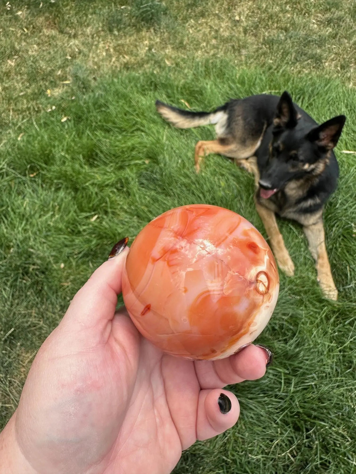 Carnelian sphere Vibrant red and Orange 3.1 inches #7 Oakriver Crystals