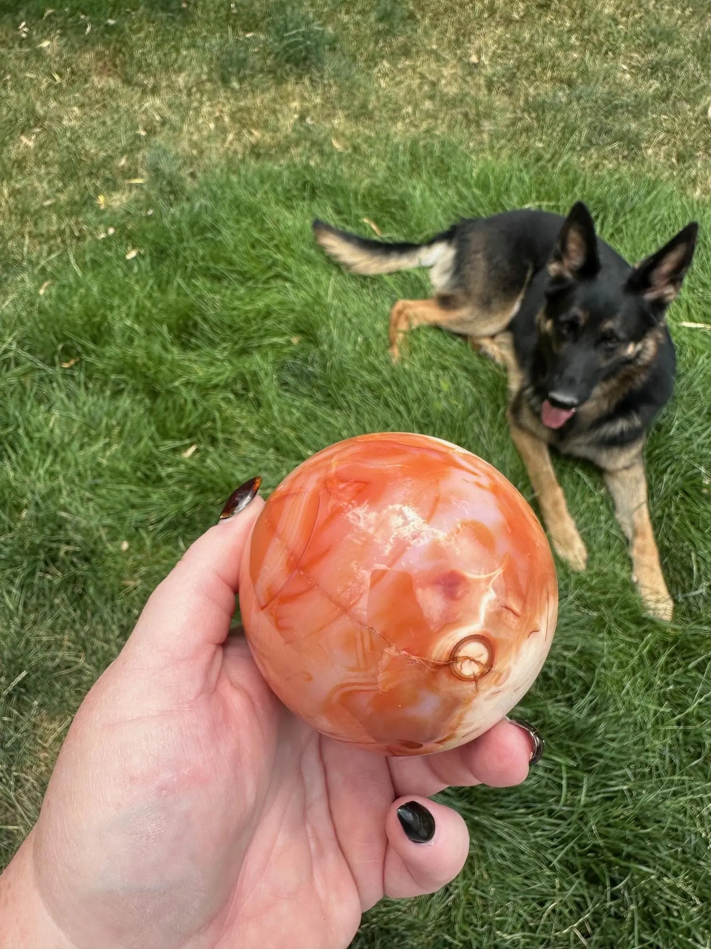 Carnelian sphere Vibrant red and Orange 3.1 inches #7 Oakriver Crystals