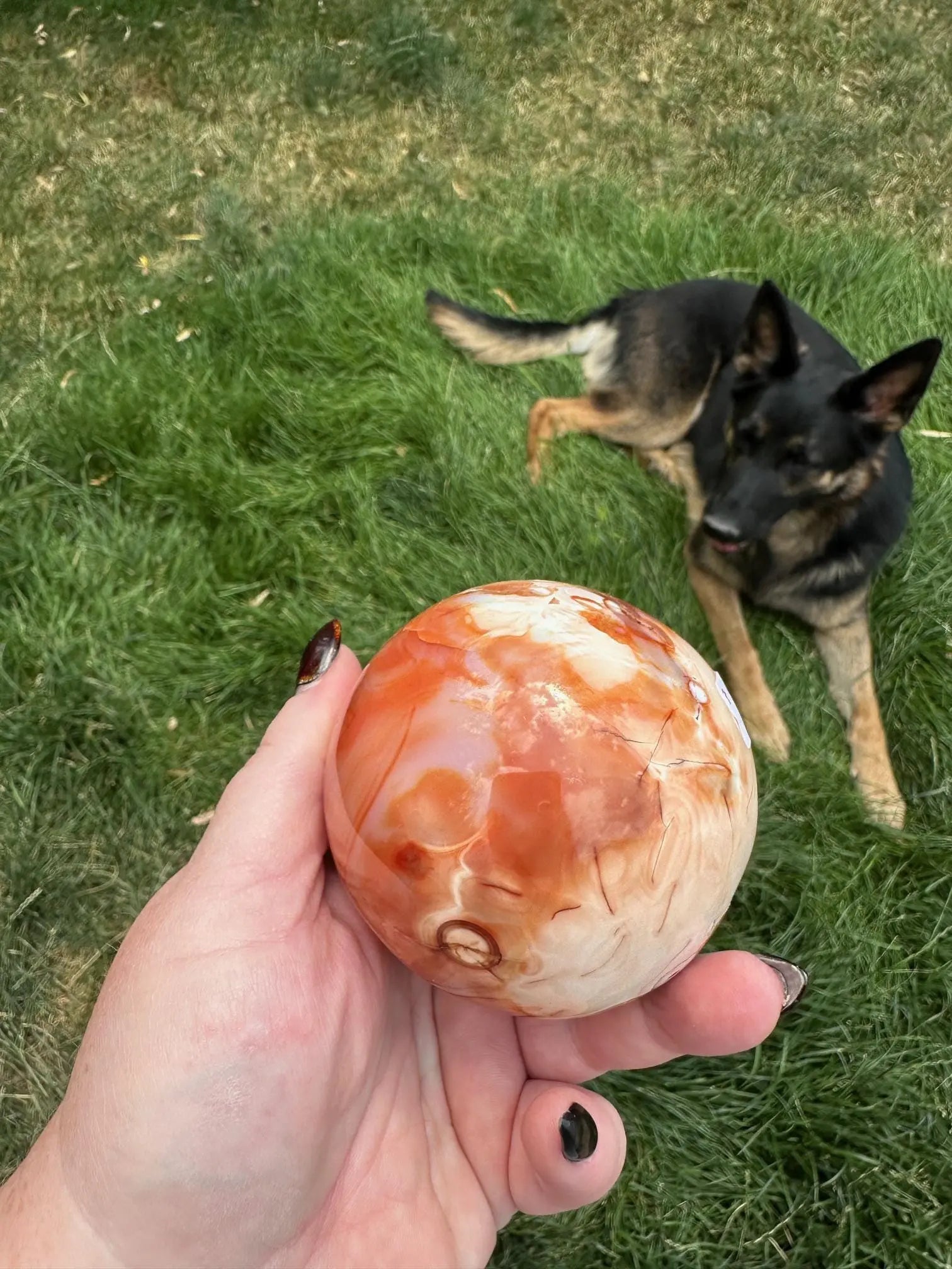 Carnelian sphere Vibrant red and Orange 3.1 inches #7 Oakriver Crystals