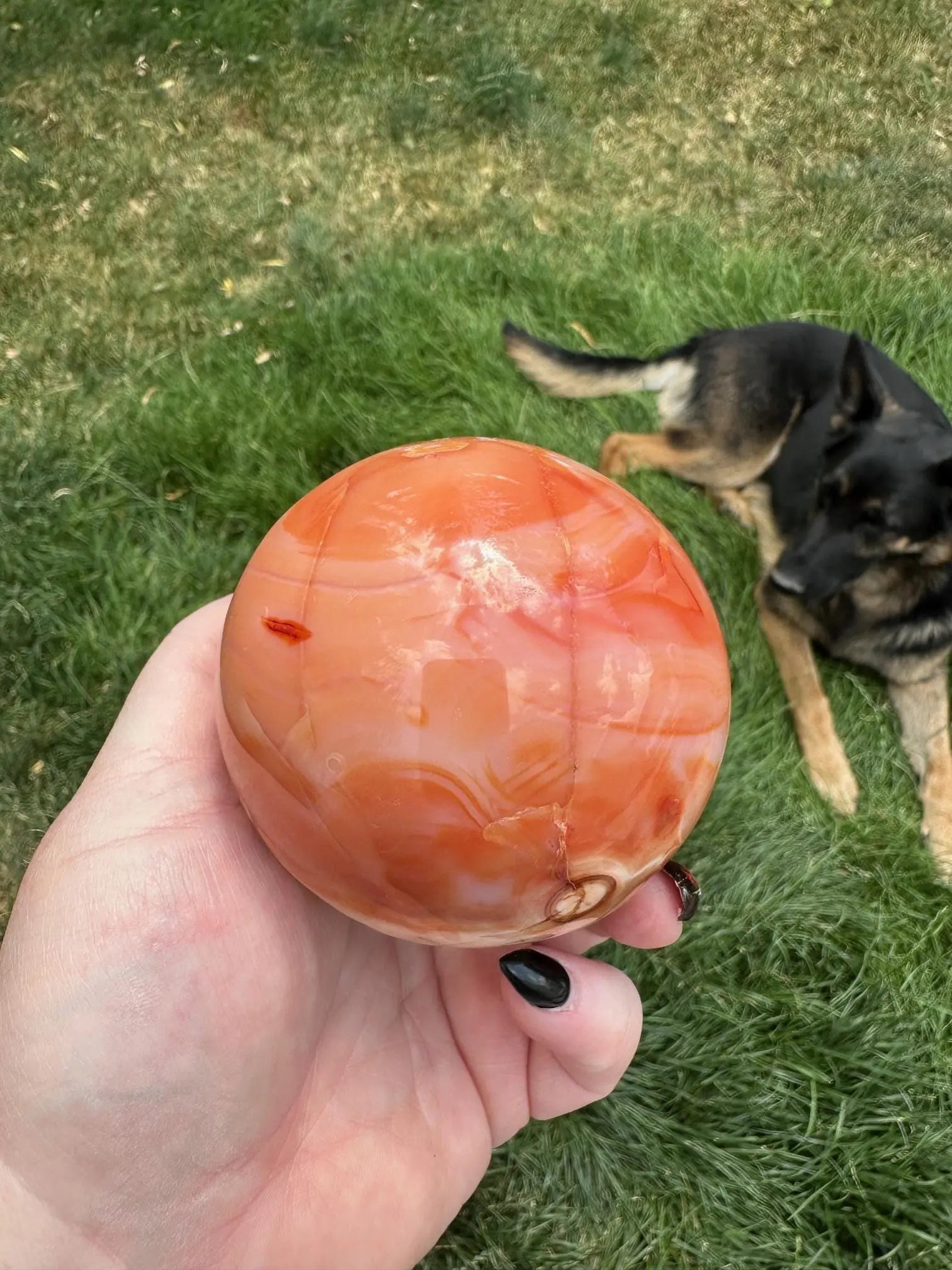 Carnelian sphere Vibrant red and Orange 3.1 inches #7 Oakriver Crystals