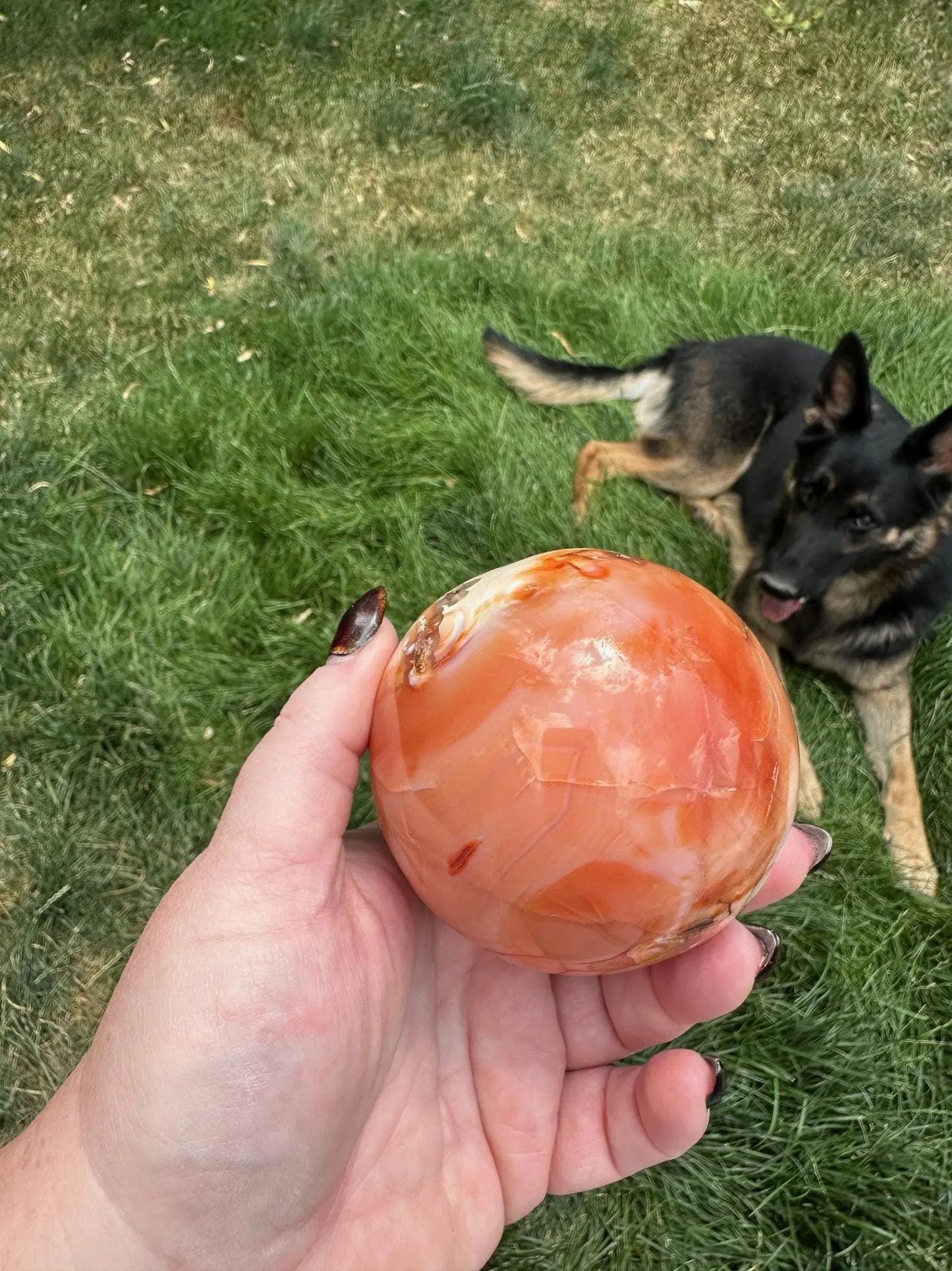 Carnelian sphere Vibrant red and Orange 3.1 inches #7 Oakriver Crystals