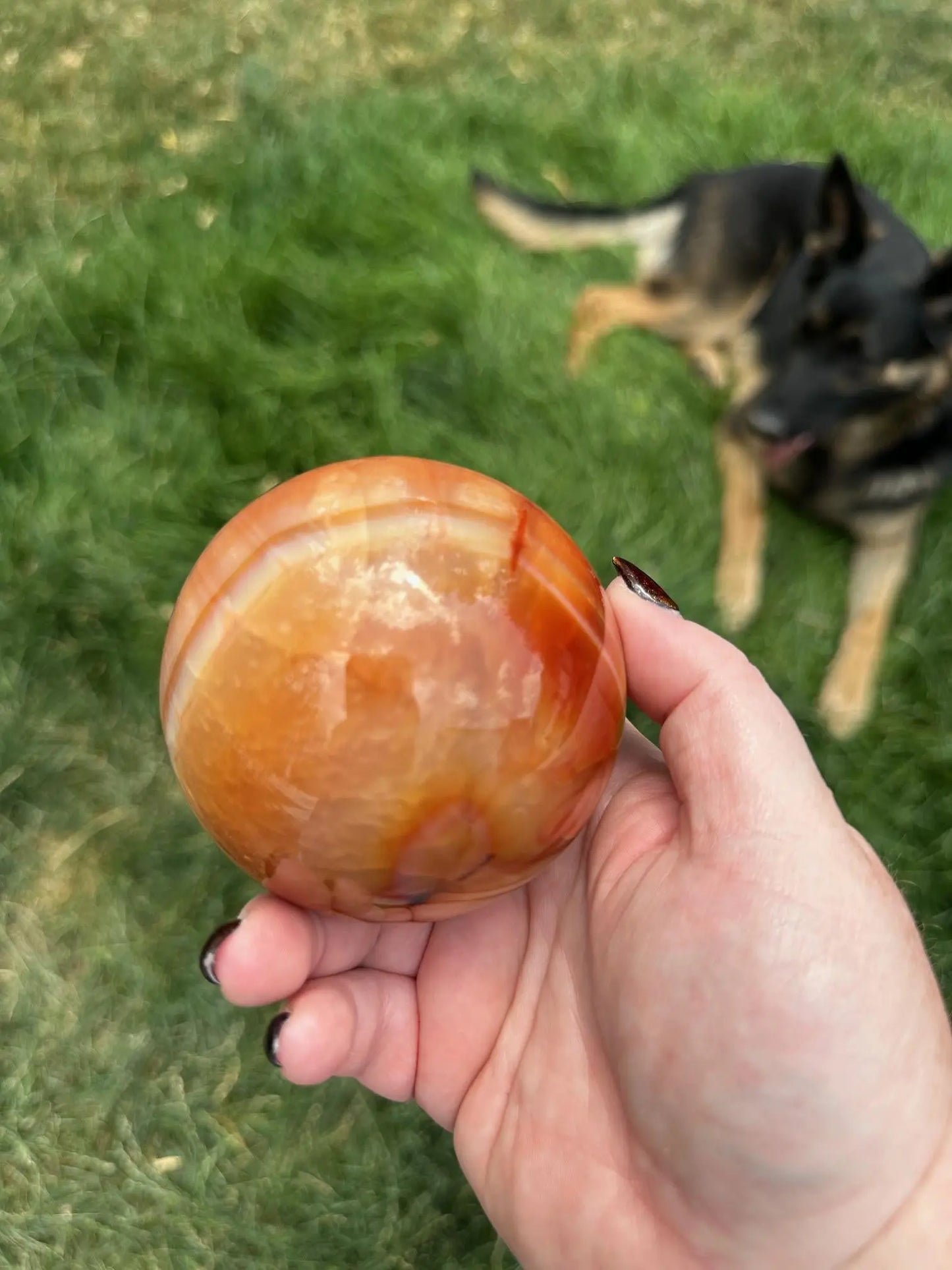 Carnelian sphere Vibrant red and Orange 3.2 inches #6 Oakriver Crystals