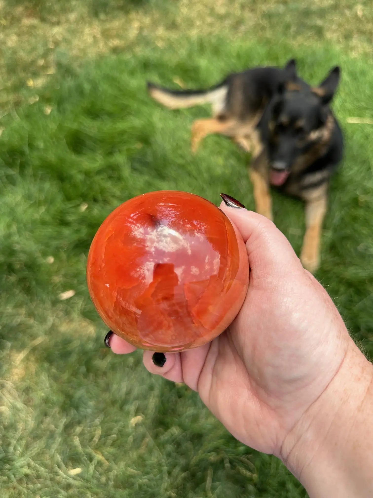 Carnelian sphere Vibrant red and Orange 3.2 inches #6 Oakriver Crystals