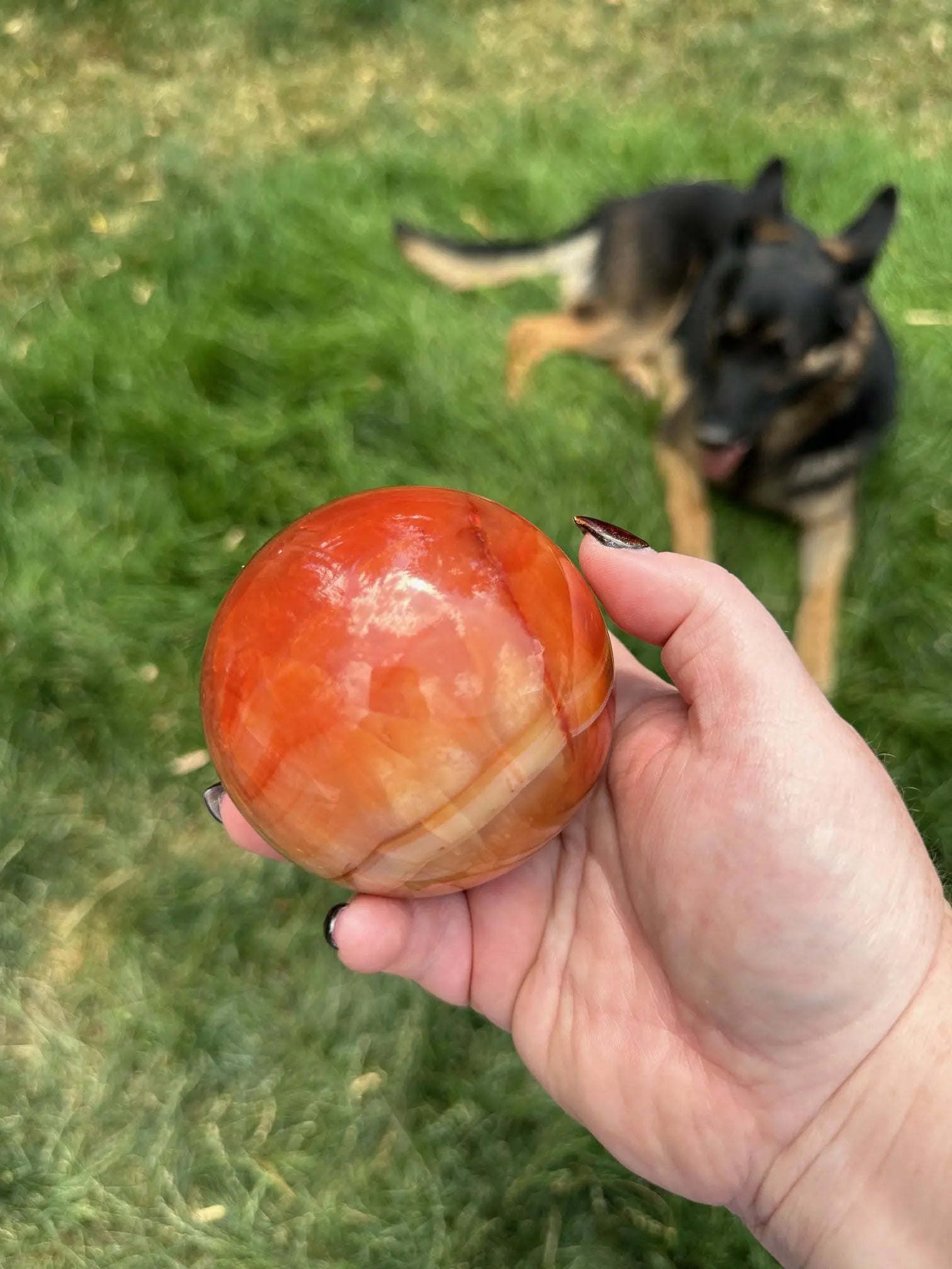 Carnelian sphere Vibrant red and Orange 3.2 inches #6 Oakriver Crystals