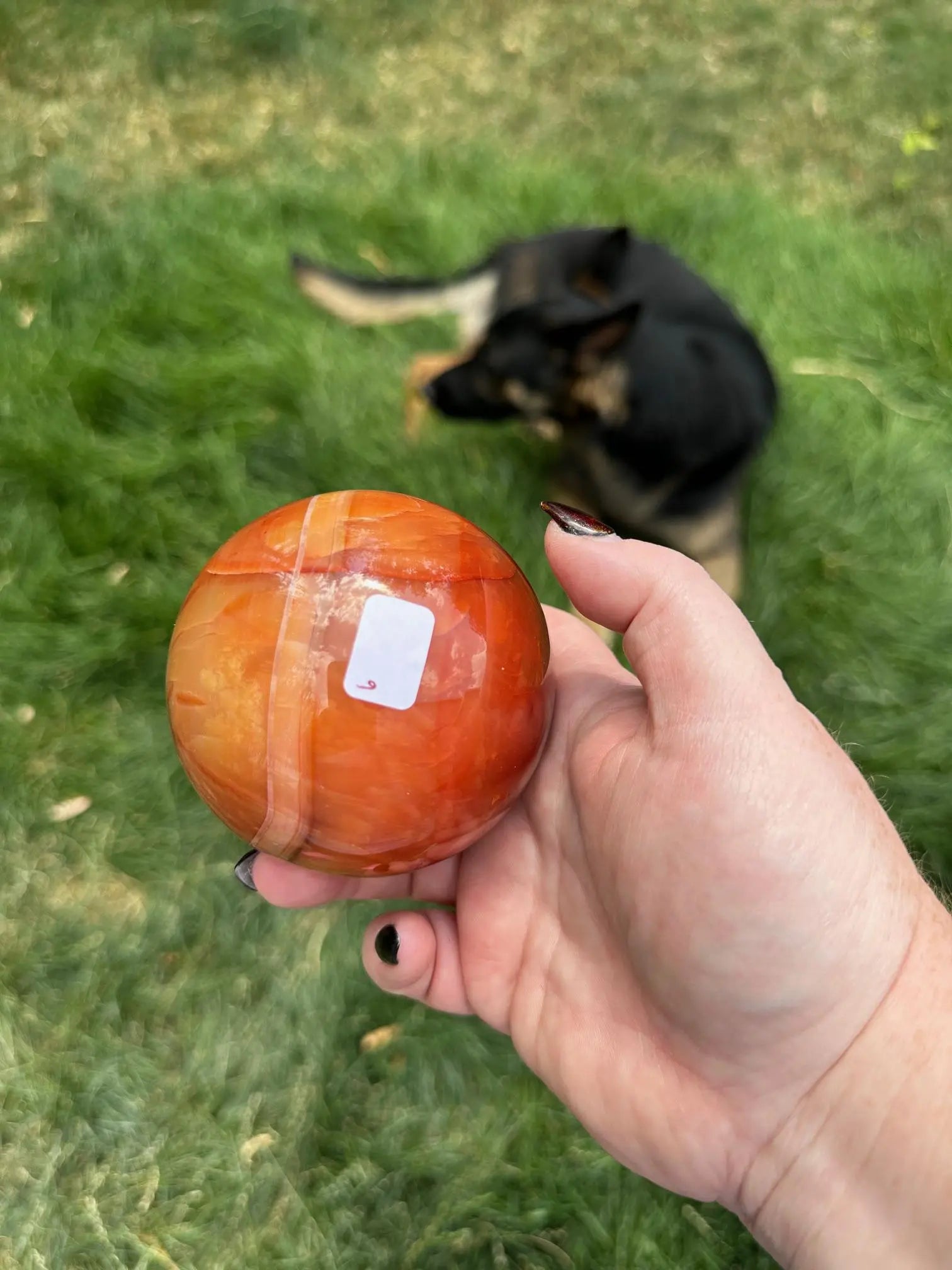 Carnelian sphere Vibrant red and Orange 3.2 inches #6 Oakriver Crystals