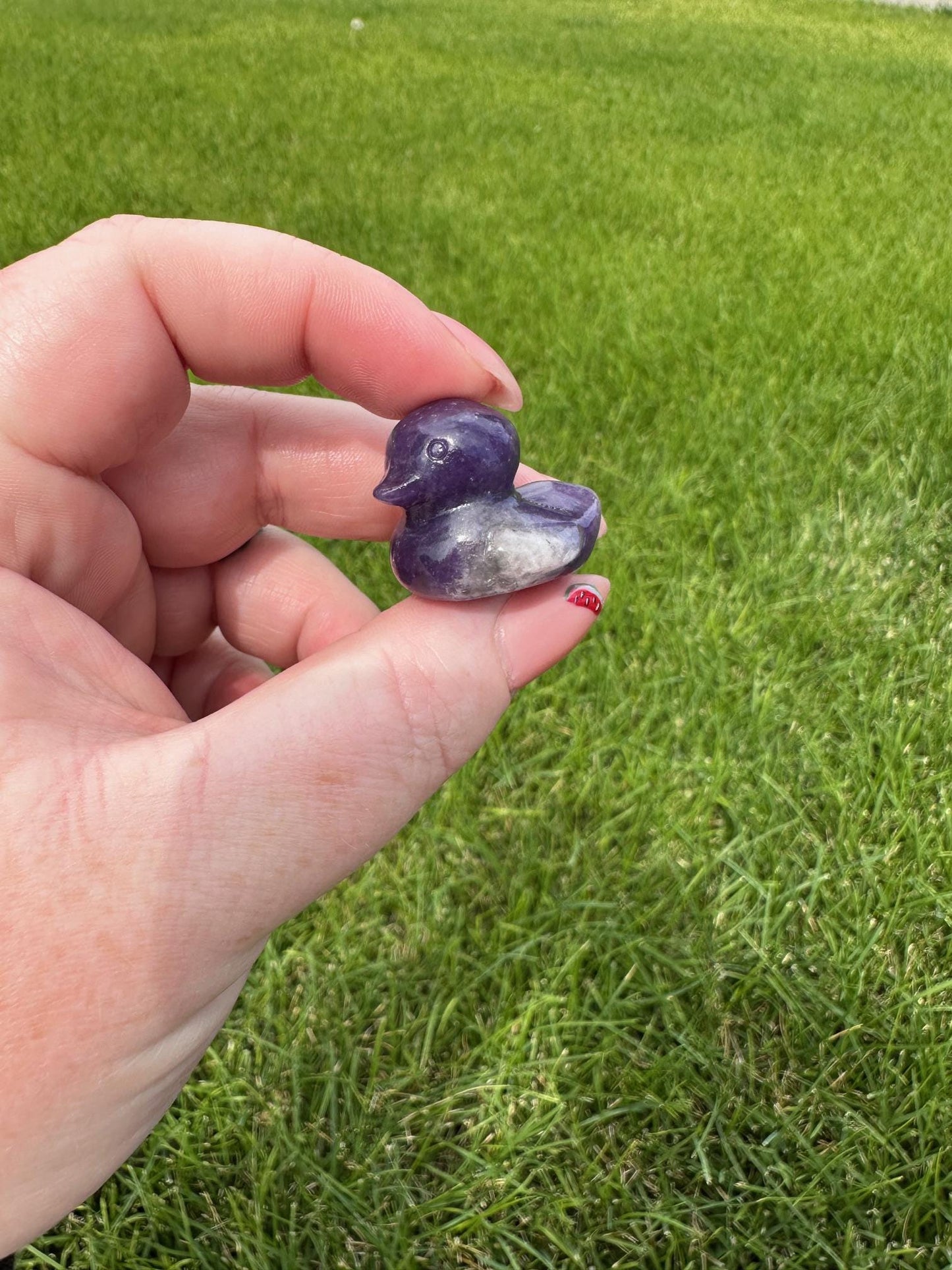 Tiny 2cm Crystal Duck Carvings – Rose Q, Green Aventurine, Silver Sheen Obsidian, Orange Calcite, Opalite, Obsidian, Tiger's Eye, Fluorite