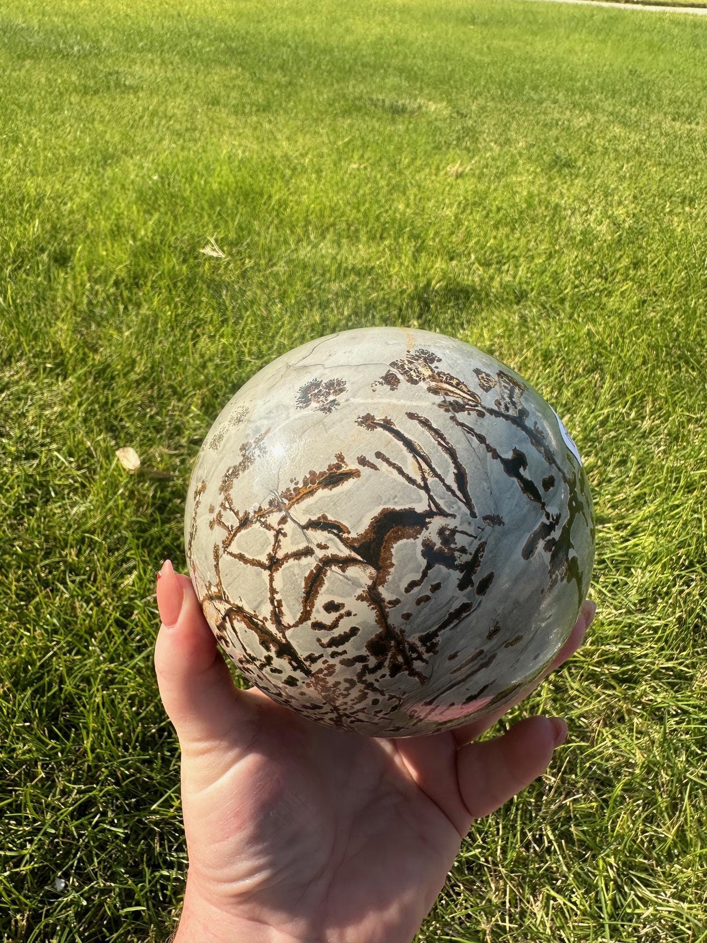 Picture Jasper Sphere – 5 lbs 14 oz – 4.3 Inches – Earthy and Grounding Crystal Sphere