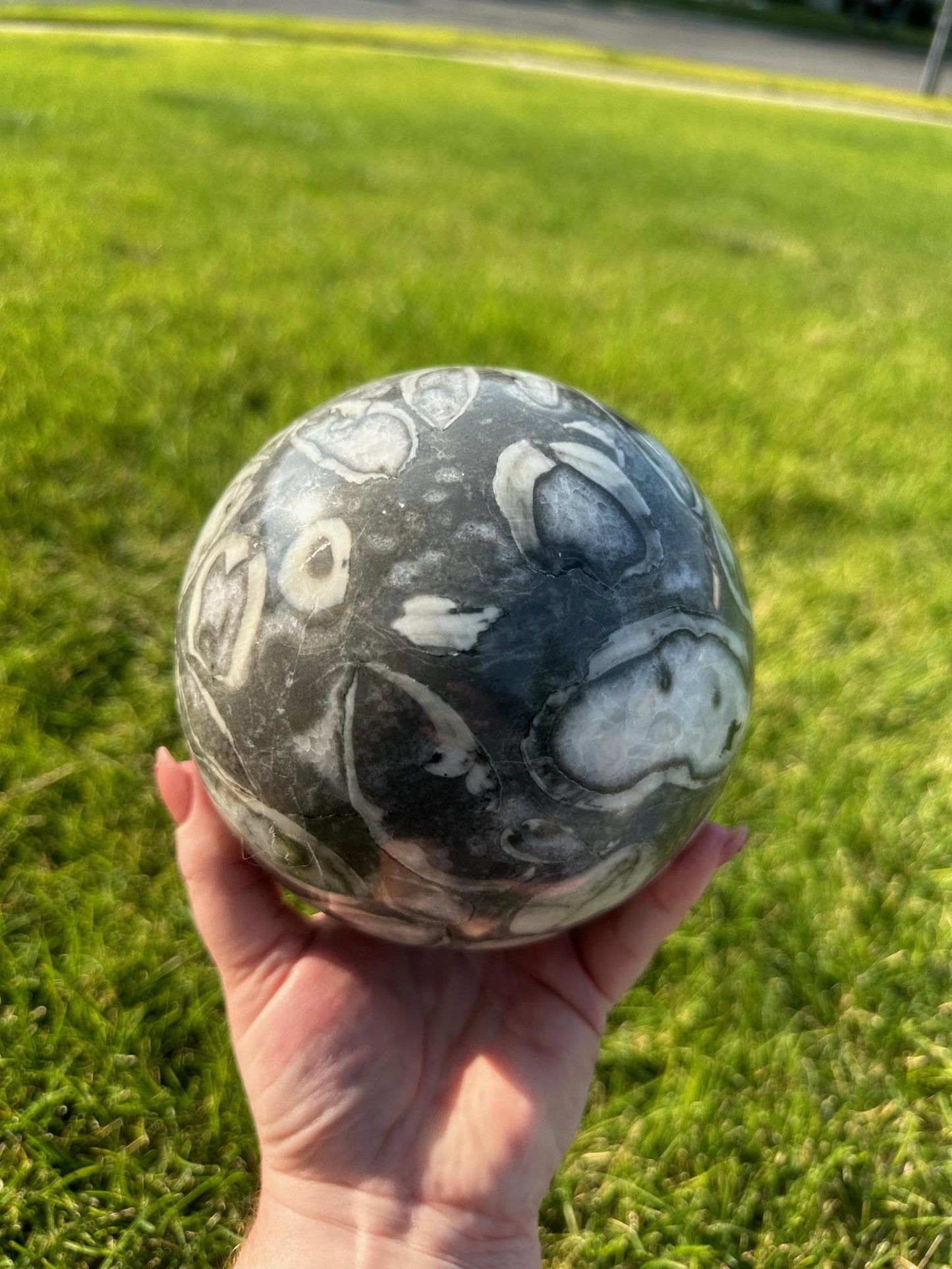 Shell Jasper Sphere – 8 lbs 9 oz – 4.8 Inches – Unique and Grounding Crystal Sphere