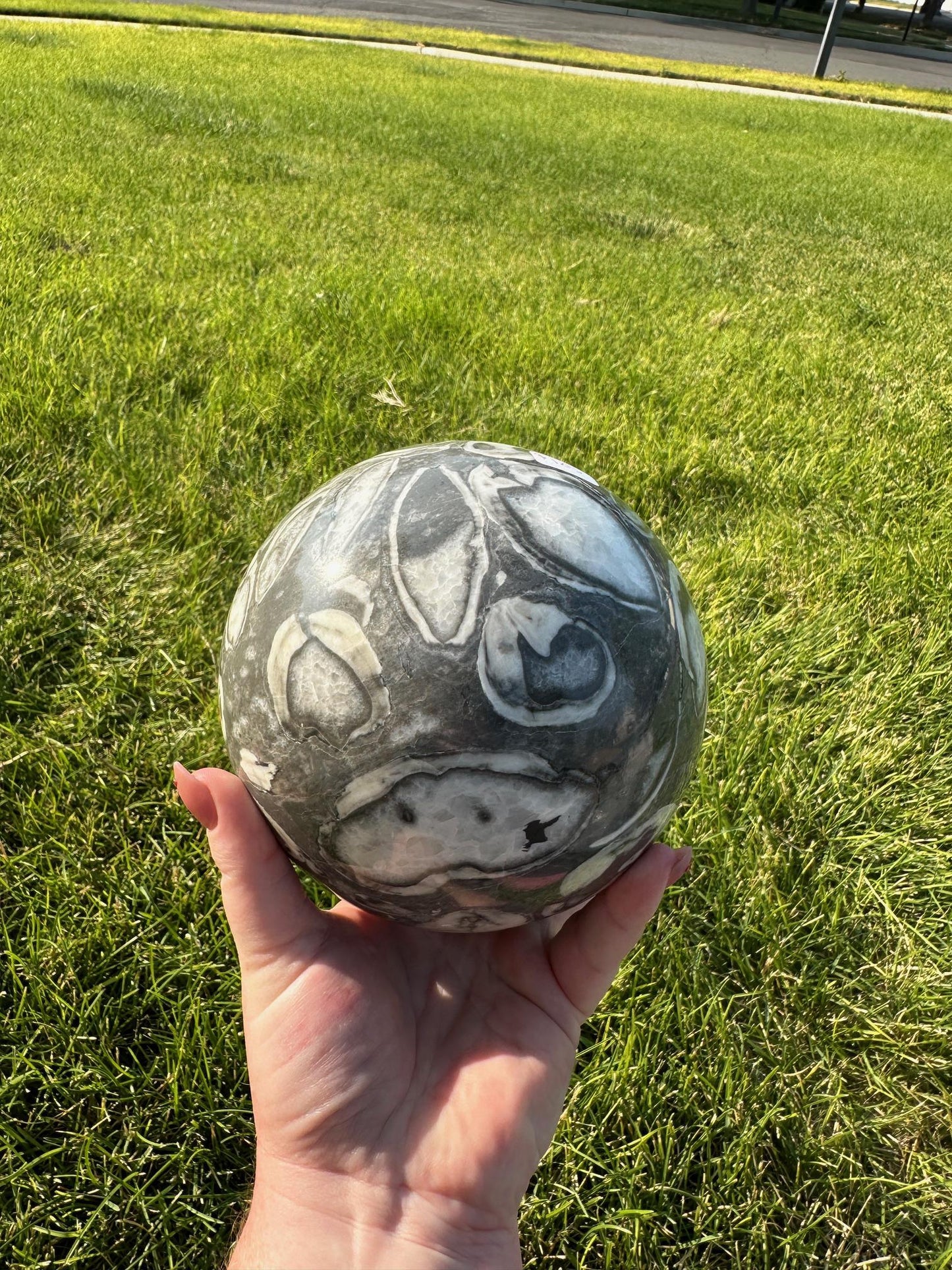 Shell Jasper Sphere – 8 lbs 9 oz – 4.8 Inches – Unique and Grounding Crystal Sphere