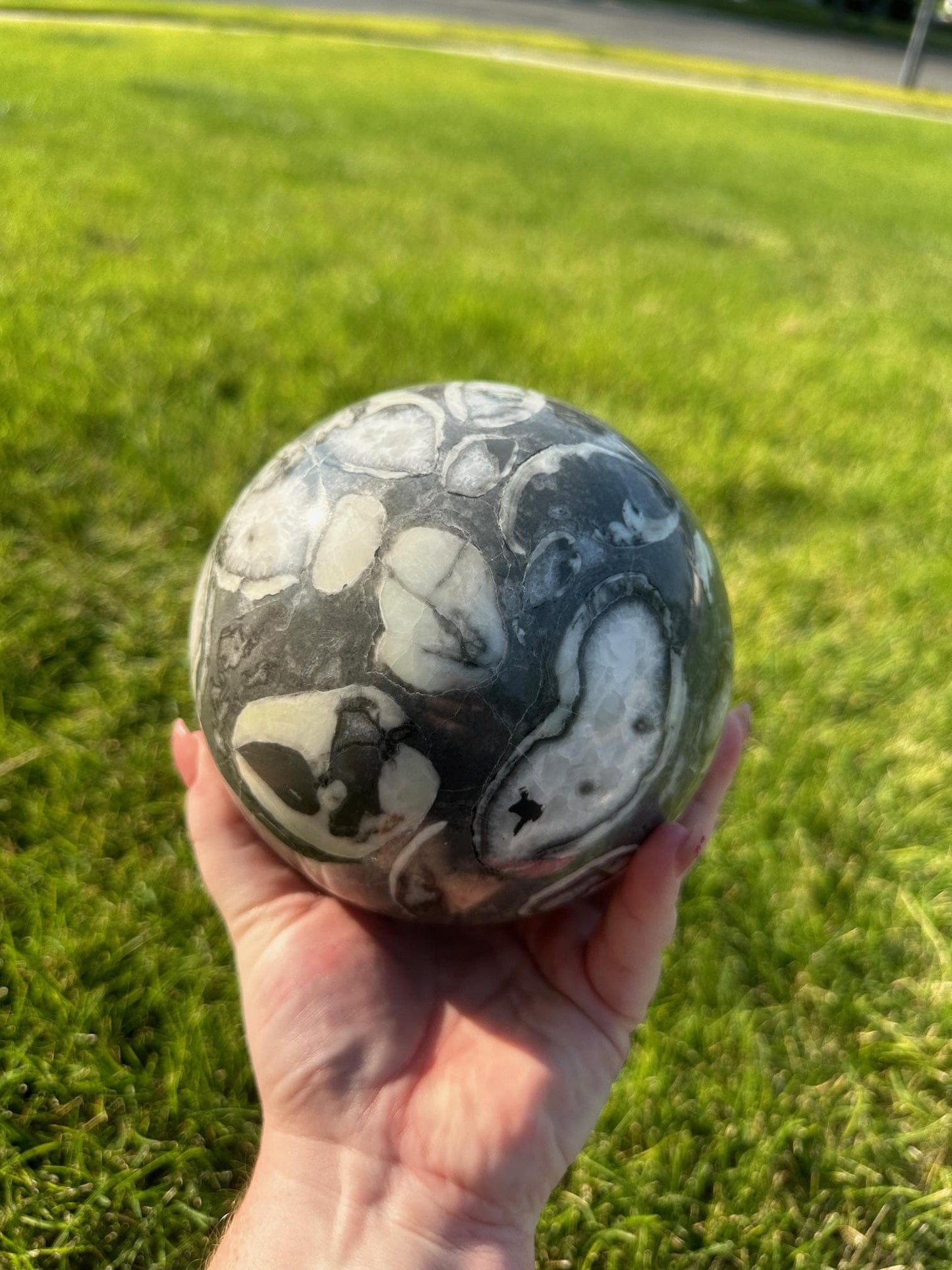 Shell Jasper Sphere – 8 lbs 9 oz – 4.8 Inches – Unique and Grounding Crystal Sphere