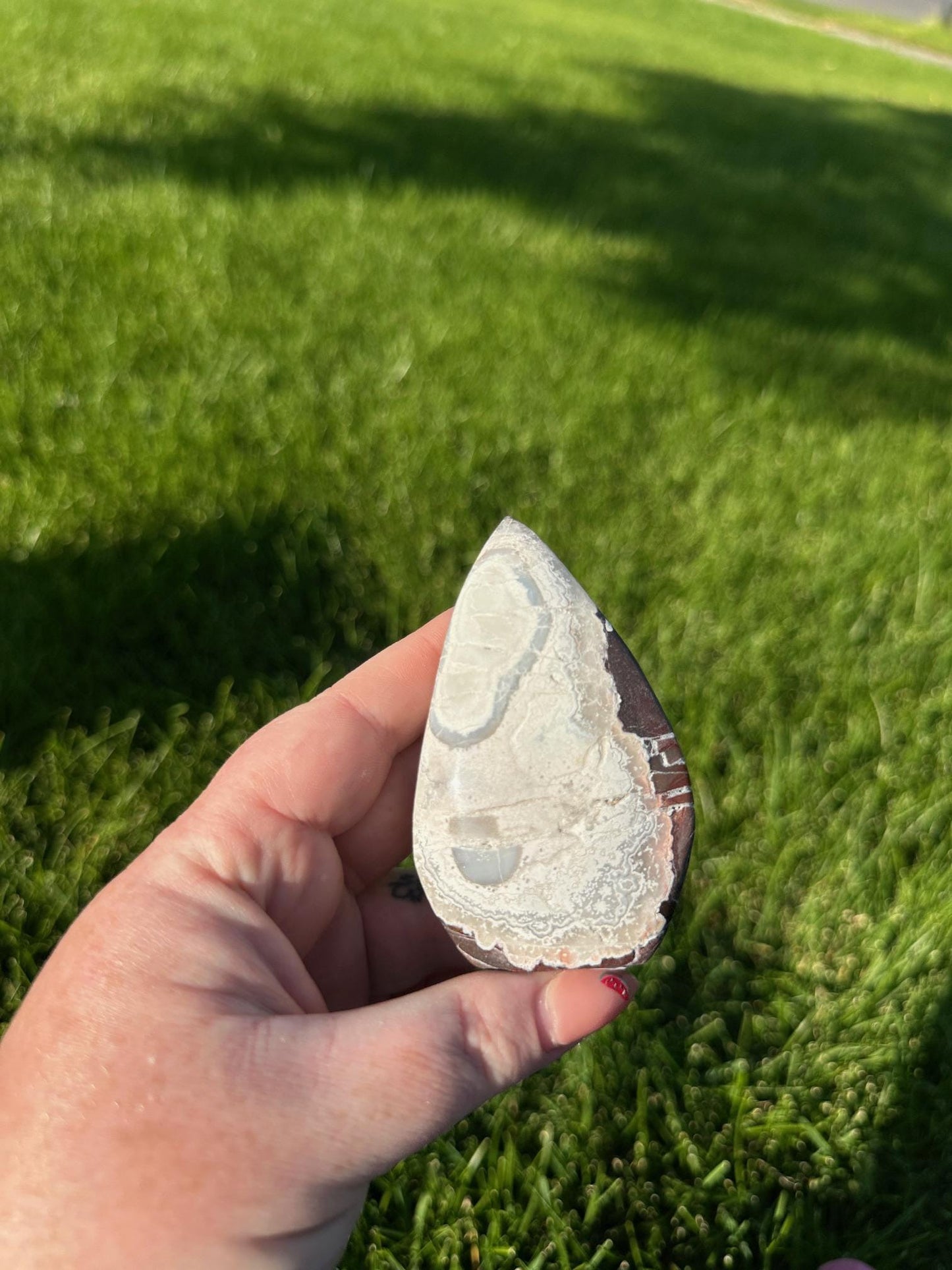 Crazy Lace Agate Freeform – 3.1" Tall, 5 oz – Joy, Balance, and Protection Stone from Mexico