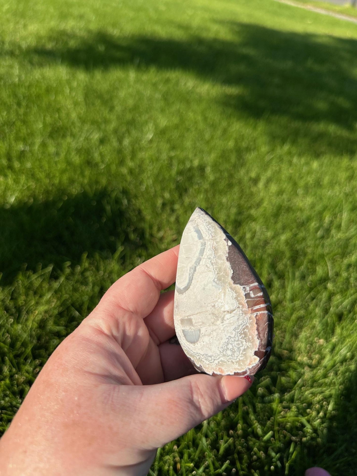 Crazy Lace Agate Freeform – 3.1" Tall, 5 oz – Joy, Balance, and Protection Stone from Mexico