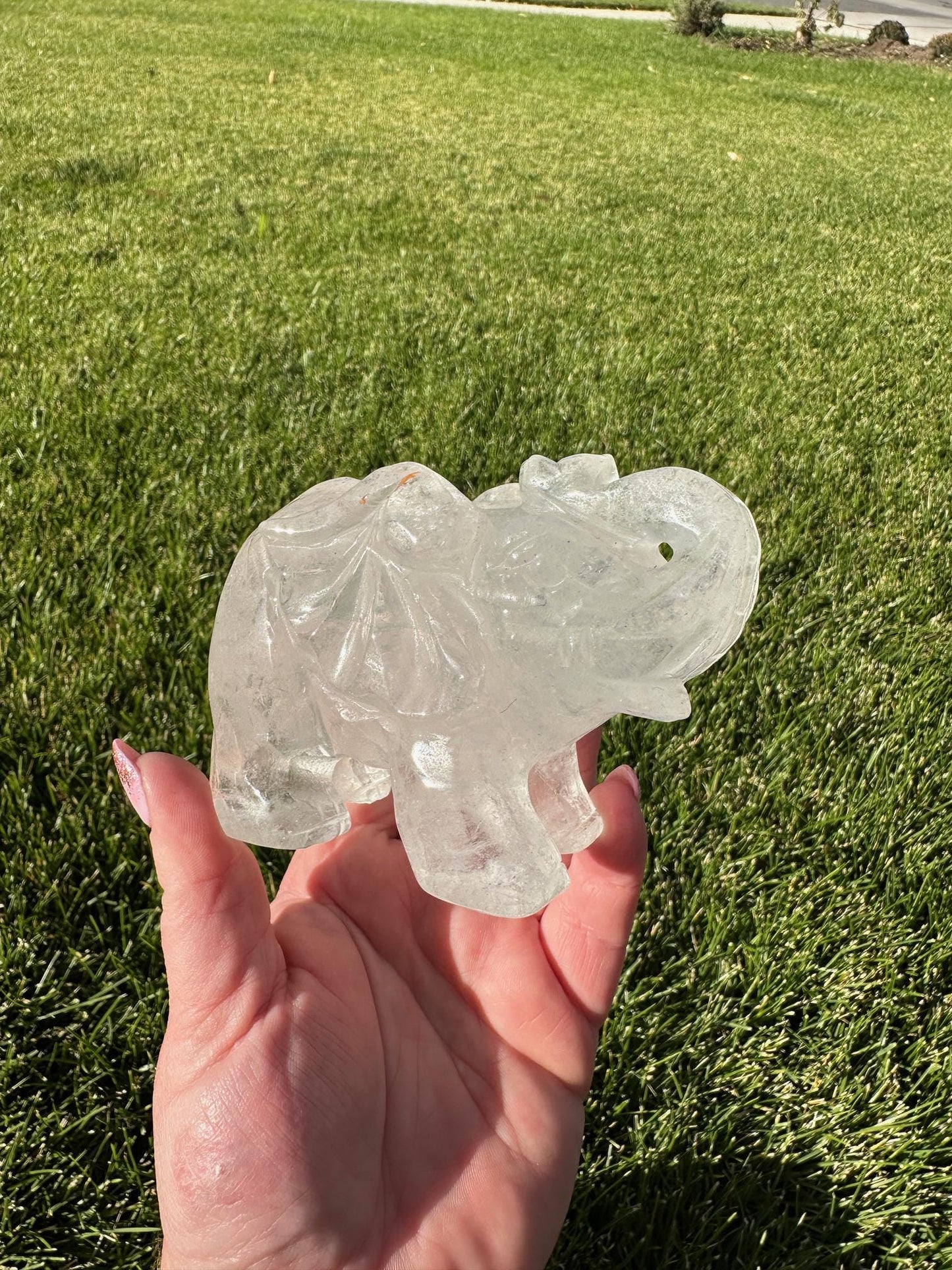 Beautiful 3.5" Clear Quartz Elephant - 1lb 3oz of Wisdom, Strength & Energy